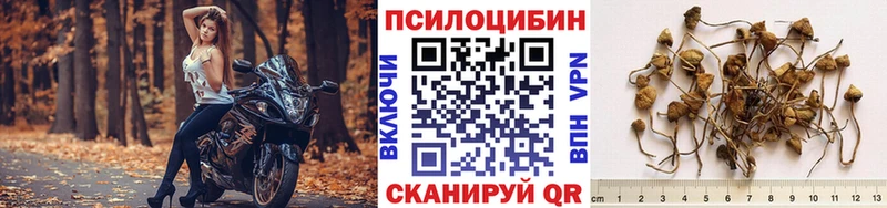 даркнет сайт  кракен зеркало  Псилоцибиновые грибы ЛСД  Опочка 