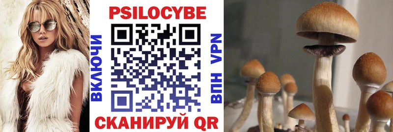 Галлюциногенные грибы Psilocybe Опочка