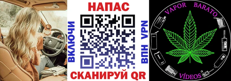 Конопля план  купить  цена  Опочка 